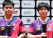 开云下载-包含日本羽毛球队翻盘韩国羽毛球队，马琳关键制胜的词条