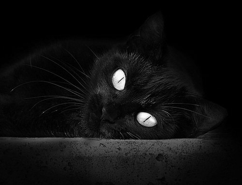 萨内一剑封喉，西班牙横扫哥伦比亚展现战术唯一性